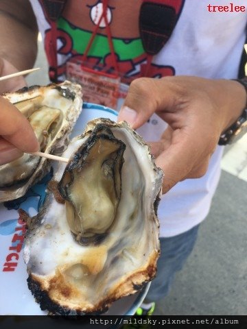 格式工廠IMG_2709.jpg