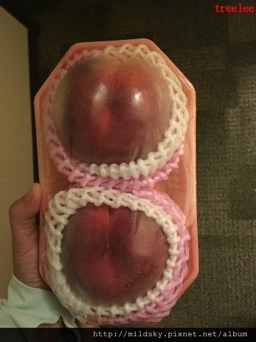格式工廠IMG_2838.jpg