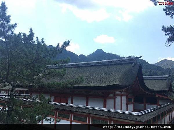 格式工廠IMG_2592.jpg