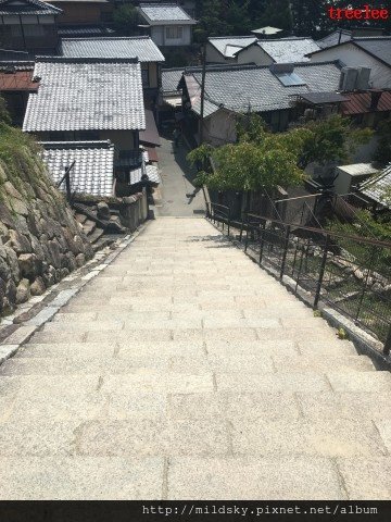 格式工廠IMG_2605.jpg