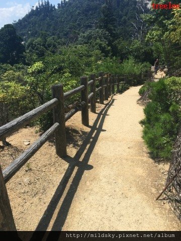 格式工廠IMG_2654.jpg