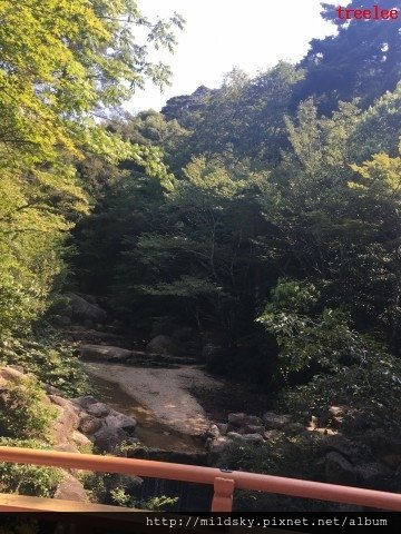 格式工廠IMG_2705.jpg