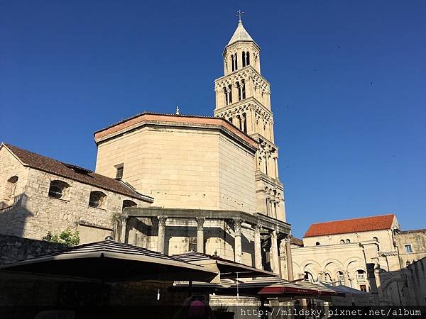 IMG_1368.jpg