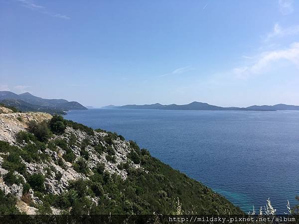 IMG_1593.jpg