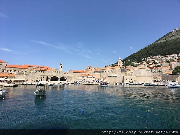 IMG_1828.jpg