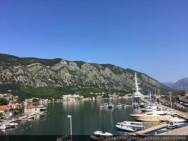 IMG_2133.jpg