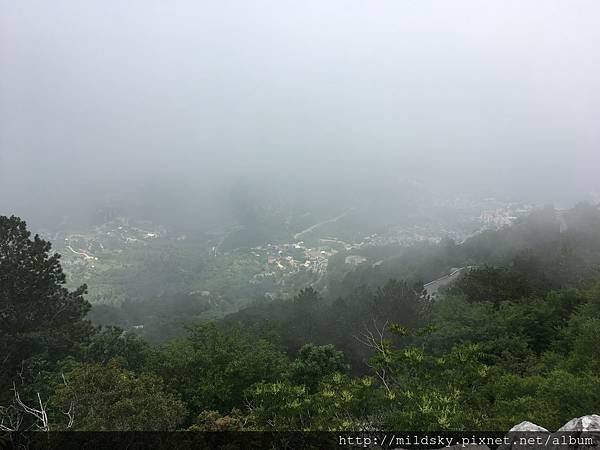 IMG_2243.jpg