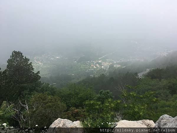 IMG_2245.jpg
