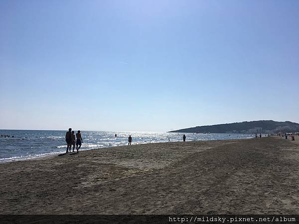 IMG_2554.jpg