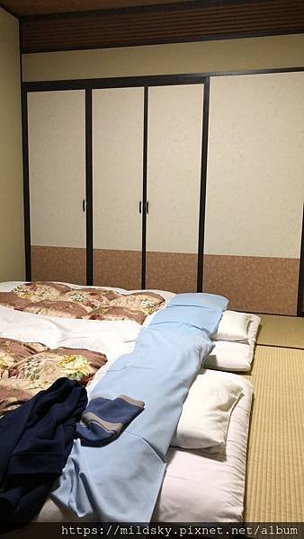 IMG_1572.jpg
