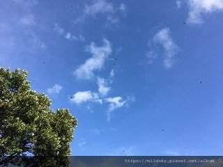 IMG_8504(001).jpg