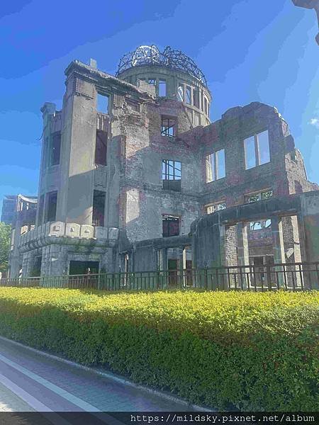 IMG_1763_compressed.jpg