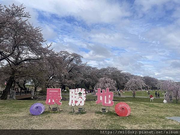 [2024東北賞櫻]仙台賞櫻去‧參加當地2日賞櫻團-北上展勝