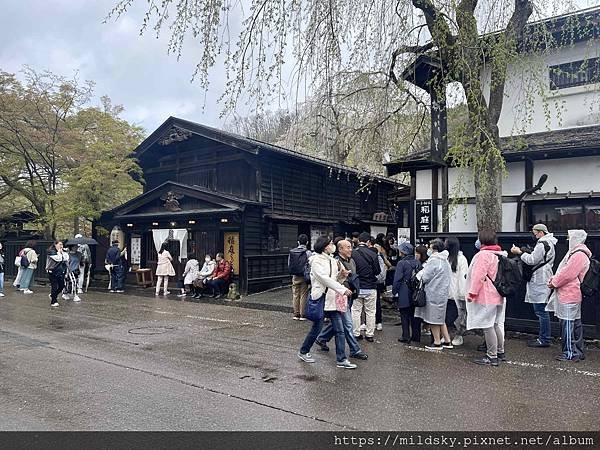 [2024東北賞櫻]仙台賞櫻去‧參加當地2日賞櫻團-北上展勝