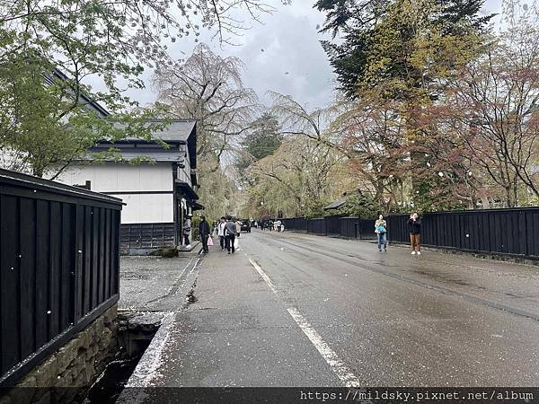 [2024東北賞櫻]仙台賞櫻去‧參加當地2日賞櫻團-北上展勝