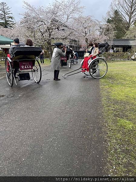 [2024東北賞櫻]仙台賞櫻去‧參加當地2日賞櫻團-北上展勝