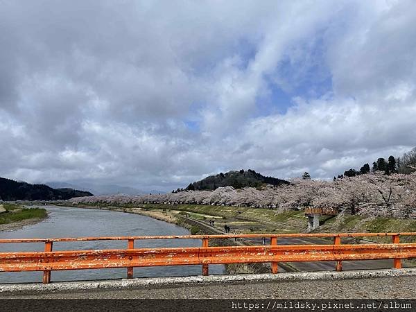 [2024東北賞櫻]仙台賞櫻去‧參加當地2日賞櫻團-北上展勝