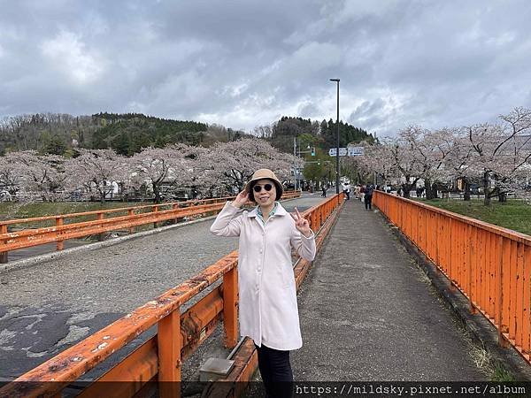 [2024東北賞櫻]仙台賞櫻去‧參加當地2日賞櫻團-北上展勝