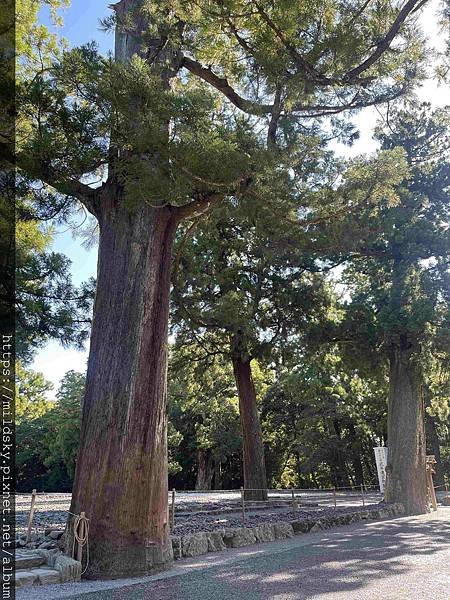 [2024名古屋]8/8伊勢神宮外宮、內宮、托福橫町一升燒肉