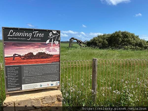 [2024.9]爸媽澳洲 自駕遊珀斯（Perth）旅程中回傳