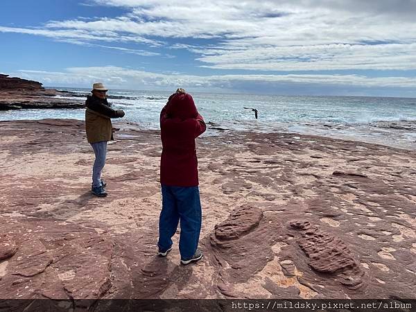 [2024.9]爸媽澳洲 自駕遊珀斯（Perth）旅程中回傳