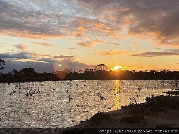 [2024.9]爸媽澳洲 自駕遊珀斯（Perth）旅程中回傳