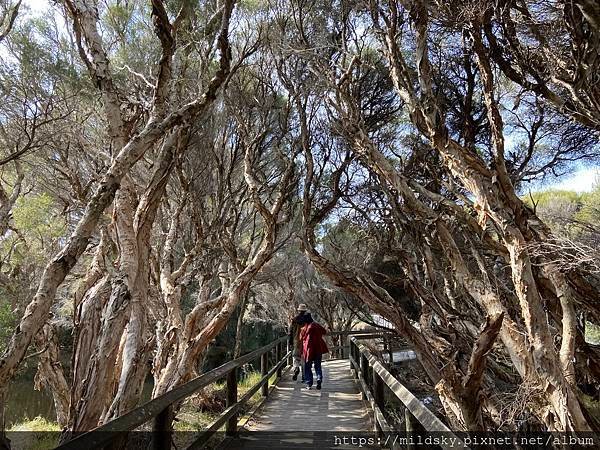 [2024.9]爸媽澳洲 自駕遊珀斯（Perth）旅程中回傳