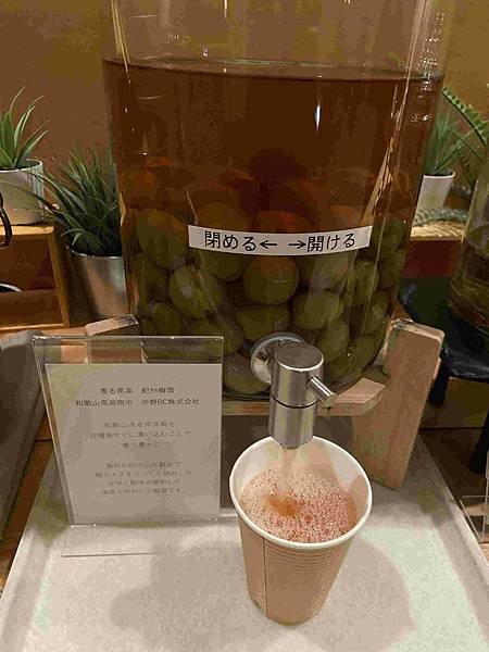 [2025◆春]日本  妹妹熊野古道朝聖去-和歌山城、紀三井