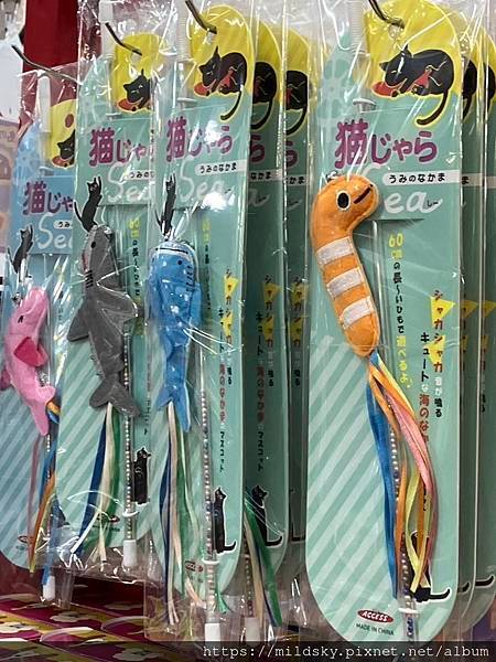 [2025春 沖繩]2/15繼續追星  日本職棒春訓  廣島