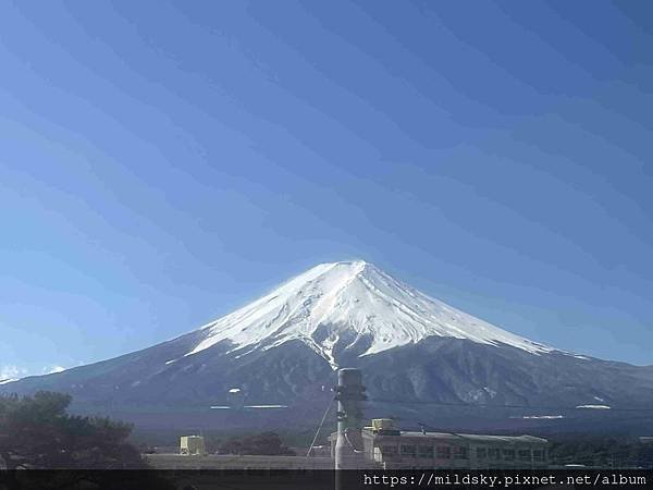 [2025春‧東京]3/7富士山一日遊+東京都廳夜景