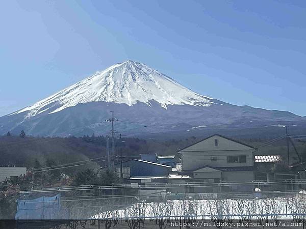 [2025春‧東京]3/7富士山一日遊+東京都廳夜景