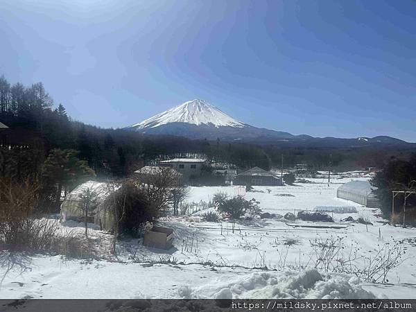 [2025春‧東京]3/7富士山一日遊+東京都廳夜景