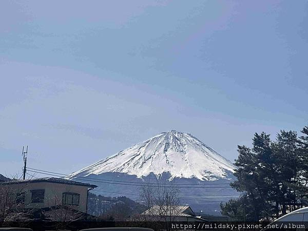 [2025春‧東京]3/7富士山一日遊+東京都廳夜景