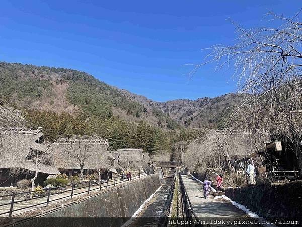 [2025春‧東京]3/7富士山一日遊+東京都廳夜景