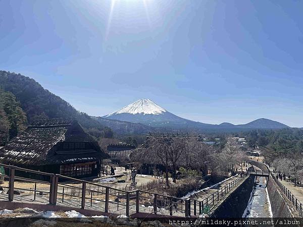 [2025春‧東京]3/7富士山一日遊+東京都廳夜景