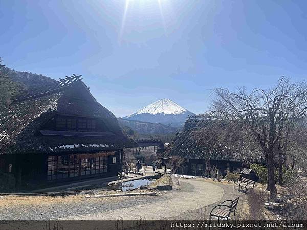 [2025春‧東京]3/7富士山一日遊+東京都廳夜景