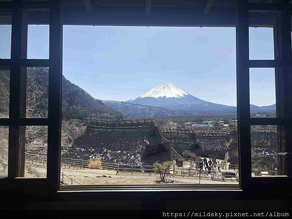 [2025春‧東京]3/7富士山一日遊+東京都廳夜景