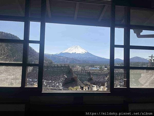 [2025春‧東京]3/7富士山一日遊+東京都廳夜景