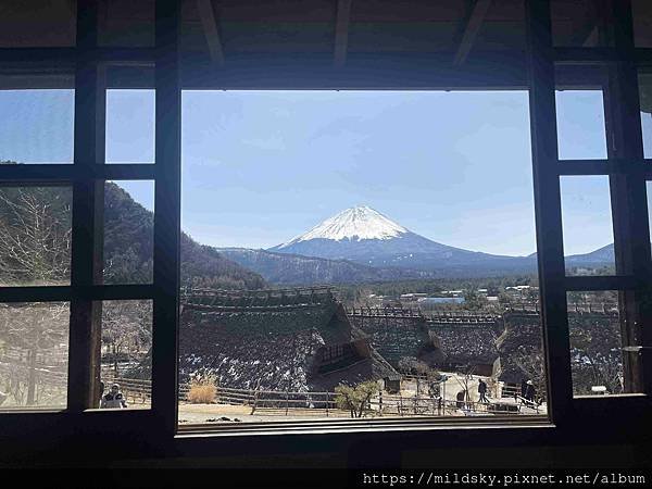 [2025春‧東京]3/7富士山一日遊+東京都廳夜景