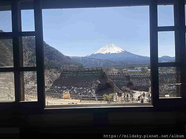 [2025春‧東京]3/7富士山一日遊+東京都廳夜景