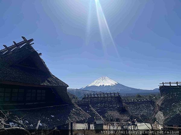 [2025春‧東京]3/7富士山一日遊+東京都廳夜景