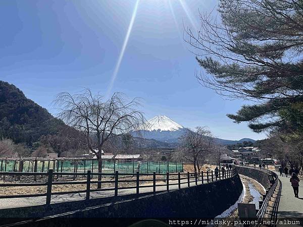 [2025春‧東京]3/7富士山一日遊+東京都廳夜景