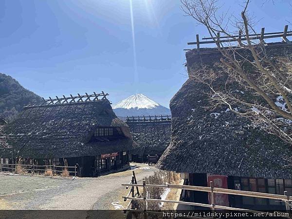 [2025春‧東京]3/7富士山一日遊+東京都廳夜景