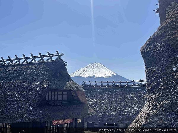[2025春‧東京]3/7富士山一日遊+東京都廳夜景