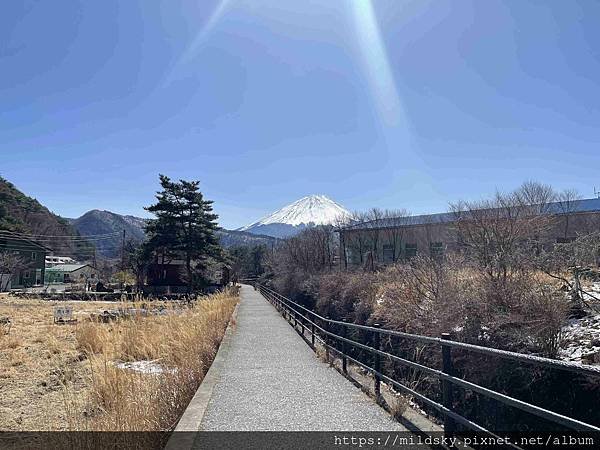 [2025春‧東京]3/7富士山一日遊+東京都廳夜景