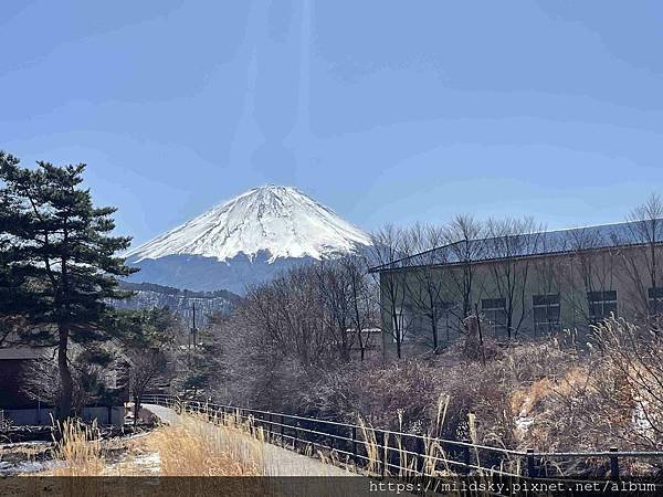 [2025春‧東京]3/7富士山一日遊+東京都廳夜景