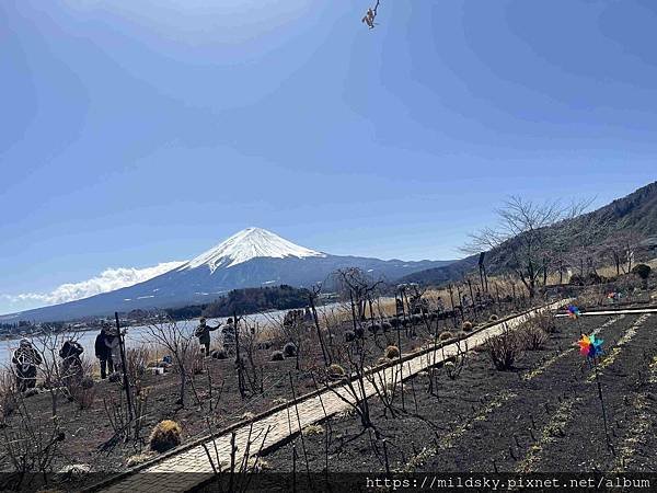[2025春‧東京]3/7富士山一日遊+東京都廳夜景