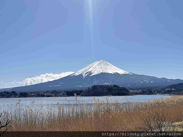 [2025春‧東京]3/7富士山一日遊+東京都廳夜景