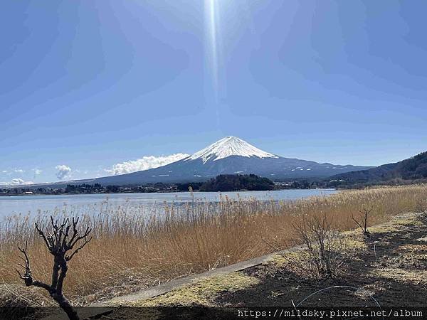 [2025春‧東京]3/7富士山一日遊+東京都廳夜景
