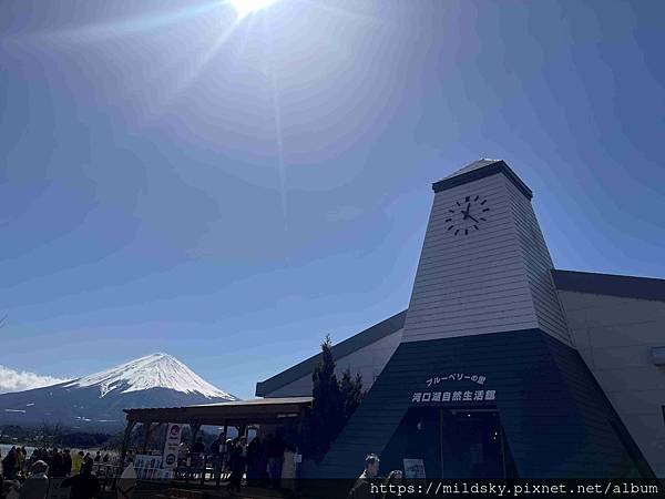 [2025春‧東京]3/7富士山一日遊+東京都廳夜景